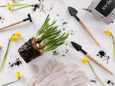 image-illustration-news(4)